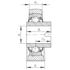 直立式軸承座單元 RASEL25-N, 鑄鐵軸承座，浮動(dòng)軸承，內(nèi)圈有驅(qū)動(dòng)槽，R 型密封